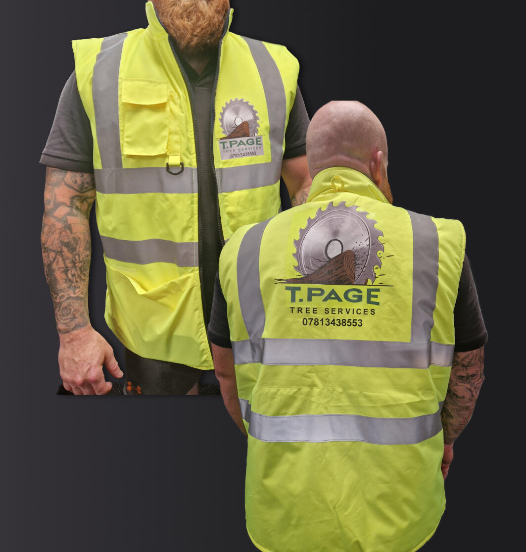 Logo &amp; Print